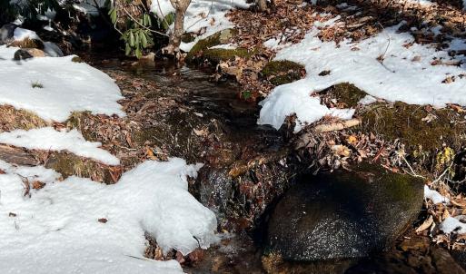 Photo #39 of Off Buckhorn Mt Ln, Rocky Gap, VA 64.0 acres