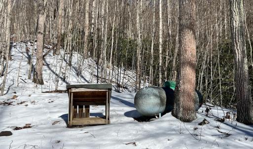 Photo #48 of Off Buckhorn Mt Ln, Rocky Gap, VA 64.0 acres