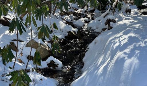 Photo #54 of Off Buckhorn Mt Ln, Rocky Gap, VA 64.0 acres