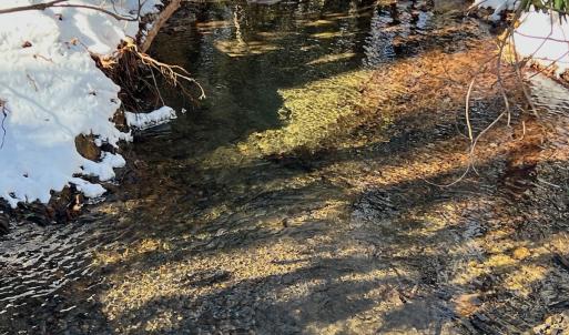 Photo #55 of Off Buckhorn Mt Ln, Rocky Gap, VA 64.0 acres