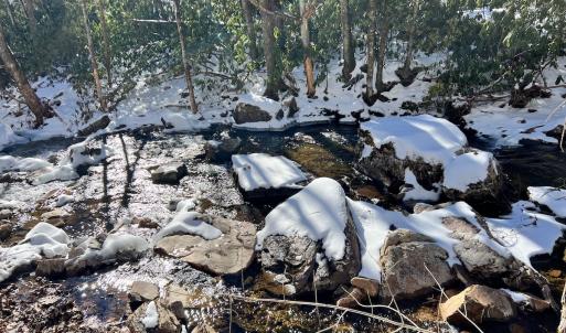 Photo #58 of Off Buckhorn Mt Ln, Rocky Gap, VA 64.0 acres