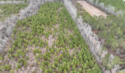 Photo #1 of Off of Creek Road, Jamesville, NC 42.0 acres