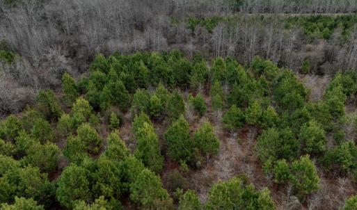 Photo #10 of Off of Creek Road, Jamesville, NC 42.0 acres