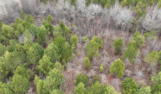 Photo #11 of Off of Creek Road, Jamesville, NC 42.0 acres