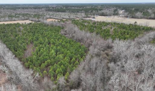 Photo #15 of Off of Creek Road, Jamesville, NC 42.0 acres