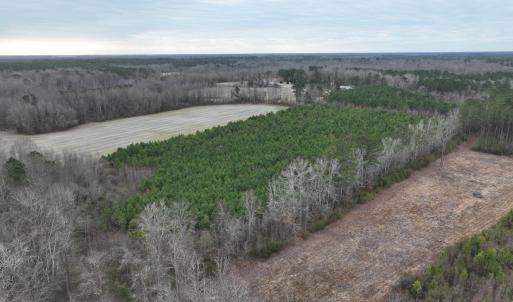 Photo #16 of Off of Creek Road, Jamesville, NC 42.0 acres
