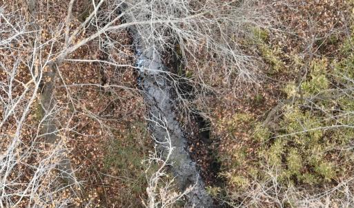 Photo #19 of Off of Creek Road, Jamesville, NC 42.0 acres