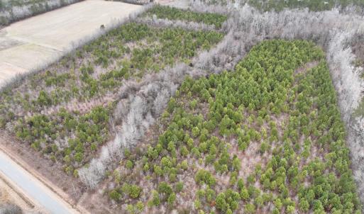 Photo #2 of Off of Creek Road, Jamesville, NC 42.0 acres