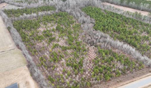Photo #3 of Off of Creek Road, Jamesville, NC 42.0 acres