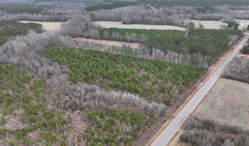 Photo #4 of Off of Creek Road, Jamesville, NC 42.0 acres