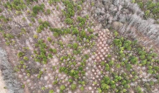 Photo #5 of Off of Creek Road, Jamesville, NC 42.0 acres