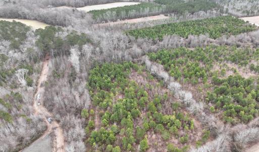 Photo #7 of Off of Creek Road, Jamesville, NC 42.0 acres