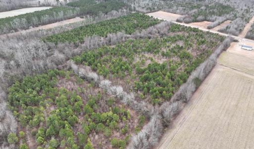 Photo #8 of Off of Creek Road, Jamesville, NC 42.0 acres