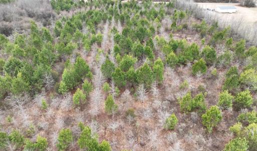 Photo #9 of Off of Creek Road, Jamesville, NC 42.0 acres