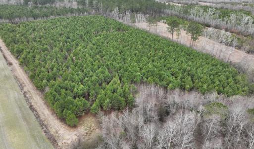 Photo #20 of Off of Creek Road, Jamesville, NC 42.0 acres