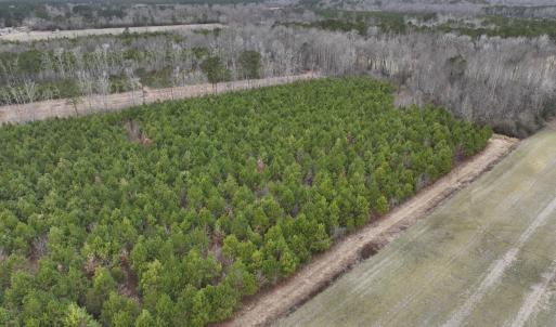 Photo #22 of Off of Creek Road, Jamesville, NC 42.0 acres