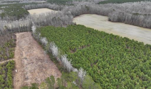 Photo #27 of Off of Creek Road, Jamesville, NC 42.0 acres
