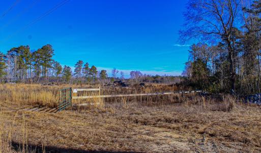 Photo #2 of Penderboro Rd, Marion, SC 54.9 acres