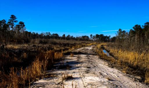 Photo #11 of Penderboro Rd, Marion, SC 54.9 acres
