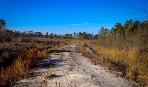 Photo #12 of Penderboro Rd, Marion, SC 54.9 acres