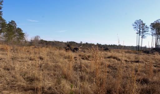 Photo #3 of Penderboro Rd, Marion, SC 54.9 acres