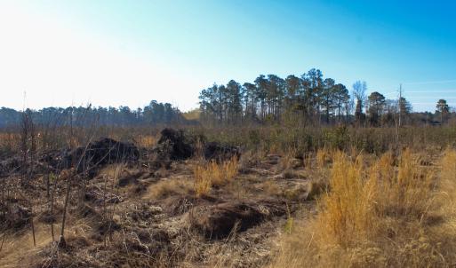Photo #6 of Penderboro Rd, Marion, SC 54.9 acres