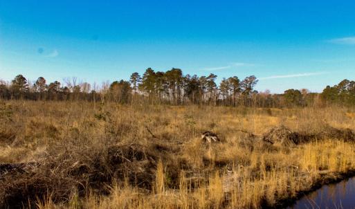 Photo #8 of Penderboro Rd, Marion, SC 54.9 acres