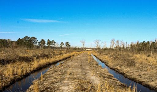 Photo #9 of Penderboro Rd, Marion, SC 54.9 acres