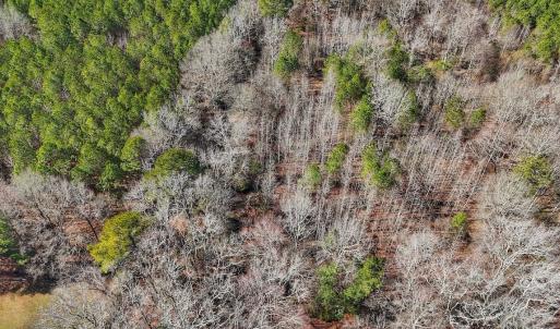 Photo #3 of off Railroad Street, Jackson, NC 1.0 acres
