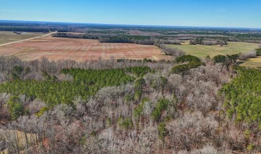 Photo #4 of off Railroad Street, Jackson, NC 1.0 acres