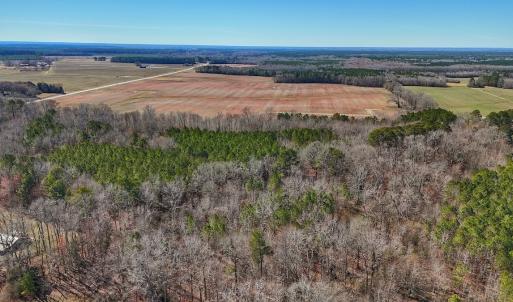 Photo #6 of off Railroad Street, Jackson, NC 1.0 acres