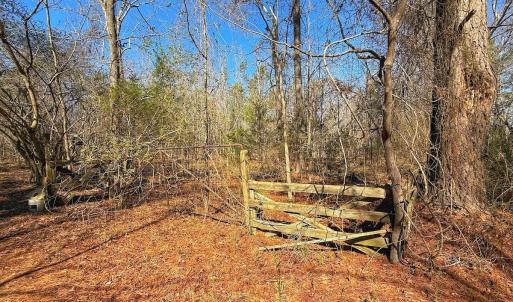 Photo #22 of off Railroad Street, Jackson, NC 1.0 acres