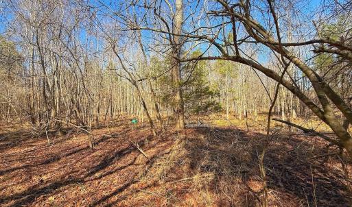 Photo #24 of off Railroad Street, Jackson, NC 1.0 acres