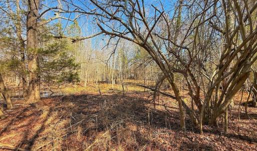 Photo #25 of off Railroad Street, Jackson, NC 1.0 acres