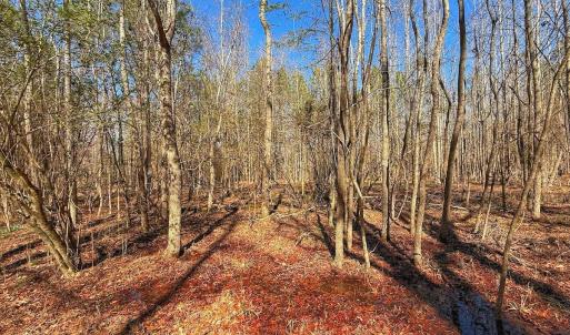 Photo #26 of off Railroad Street, Jackson, NC 1.0 acres