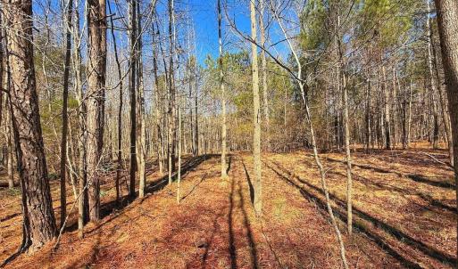 Photo #27 of off Railroad Street, Jackson, NC 1.0 acres