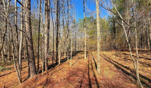 Photo #28 of off Railroad Street, Jackson, NC 1.0 acres