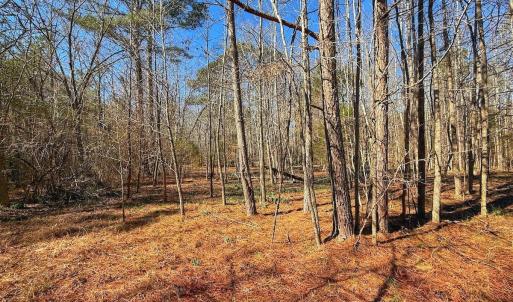 Photo #29 of off Railroad Street, Jackson, NC 1.0 acres