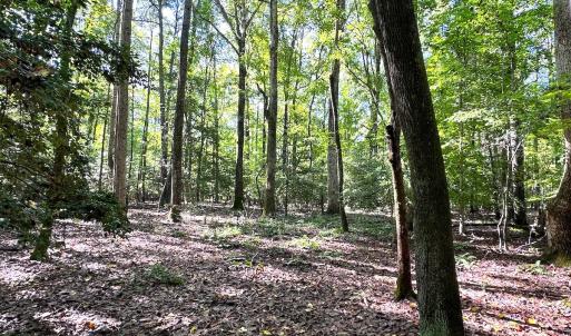 Photo #13 of SOLD property in Off Doggett Lane, Carrollton, VA 42.0 acres