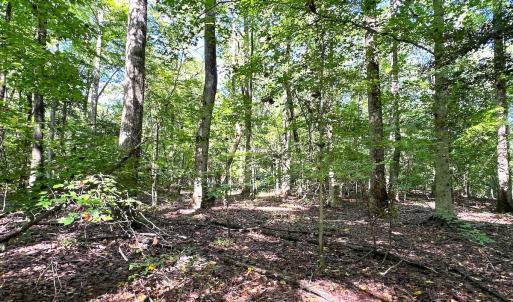 Photo #14 of SOLD property in Off Doggett Lane, Carrollton, VA 42.0 acres