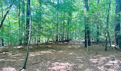 Photo #20 of SOLD property in Off Doggett Lane, Carrollton, VA 42.0 acres