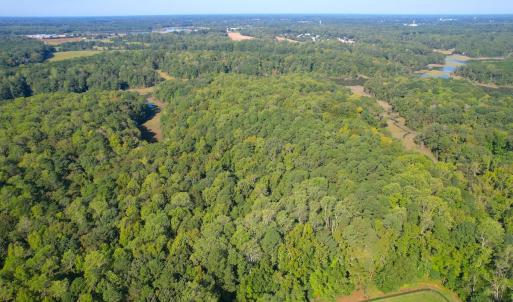 Photo #4 of SOLD property in Off Doggett Lane, Carrollton, VA 42.0 acres