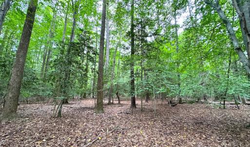 Photo #10 of Off Doggett Lane, Carrollton, VA 50.3 acres