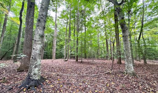 Photo #12 of Off Doggett Lane, Carrollton, VA 50.3 acres