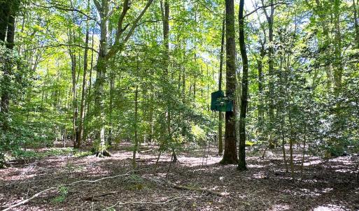 Photo #14 of Off Doggett Lane, Carrollton, VA 50.3 acres
