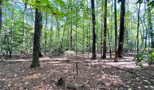 Photo #15 of Off Doggett Lane, Carrollton, VA 50.3 acres