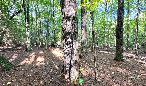 Photo #16 of Off Doggett Lane, Carrollton, VA 50.3 acres