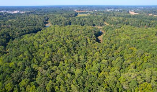 Photo #2 of Off Doggett Lane, Carrollton, VA 50.3 acres