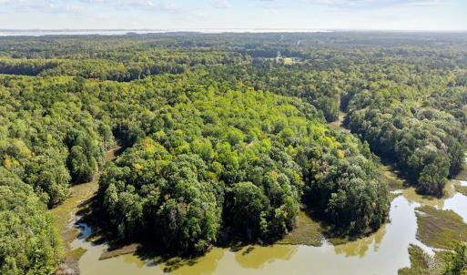 Photo #3 of Off Doggett Lane, Carrollton, VA 50.3 acres
