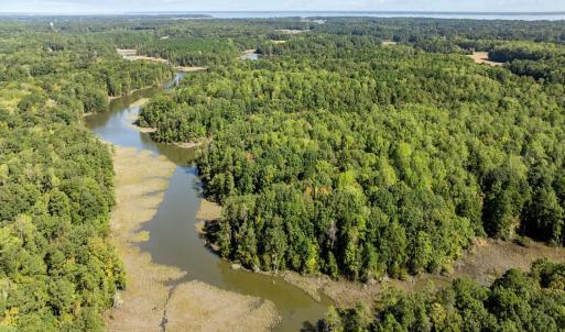 Photo #4 of Off Doggett Lane, Carrollton, VA 50.3 acres